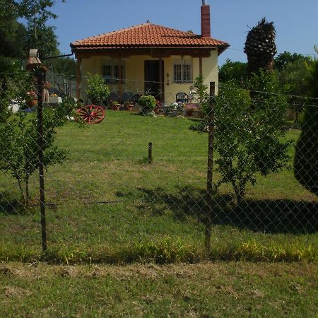 Xerxis Hill/Chalkidiki Τρυπητή Χαλκιδικής Villa เนอาโรดา ภายนอก รูปภาพ